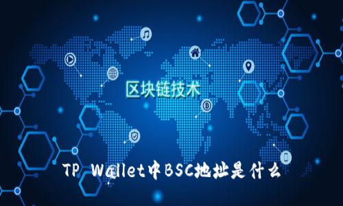 TP Wallet中BSC地址是什么