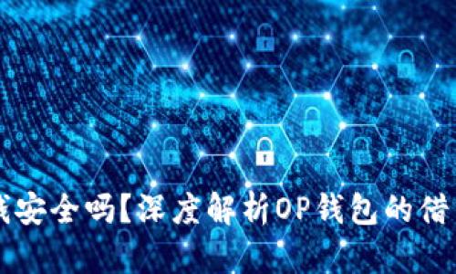 OP钱包借钱安全吗?深度解析OP钱包的借贷保障机制