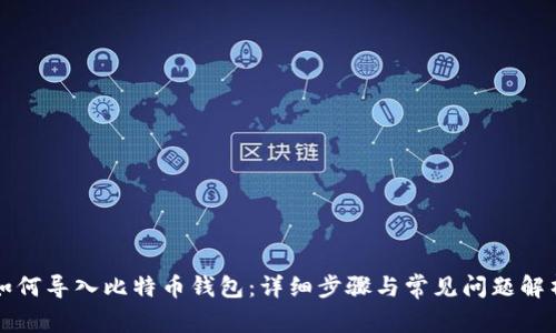 如何导入比特币钱包：详细步骤与常见问题解析