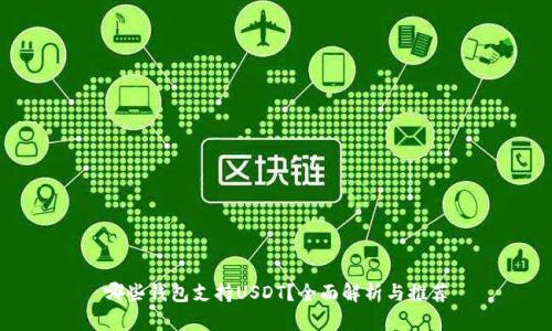哪些钱包支持USDT?全面解析与推荐