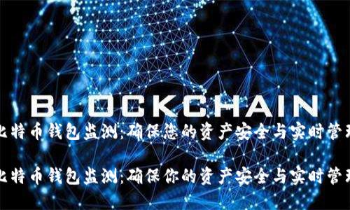 比特币钱包监测：确保您的资产安全与实时管理

比特币钱包监测：确保你的资产安全与实时管理