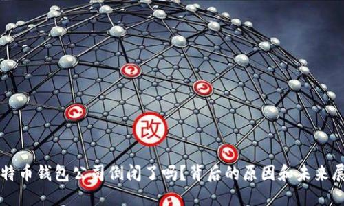比特币钱包公司倒闭了吗？背后的原因和未来展望