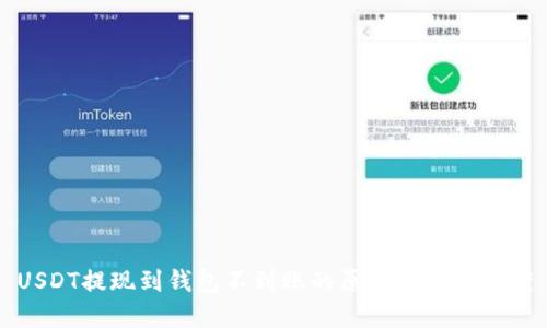 USDT提现到钱包不到账的原因与解决方案