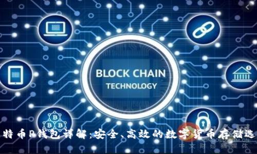 比特币P钱包详解：安全、高效的数字货币存储选择