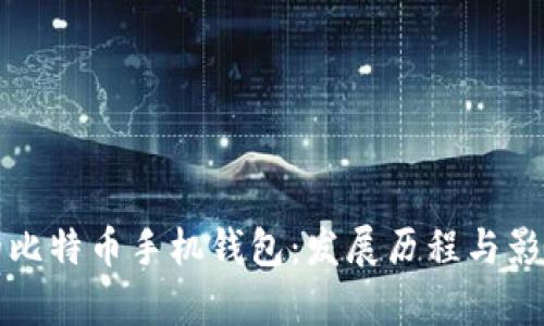 最早的比特币手机钱包:发展历程与影响分析