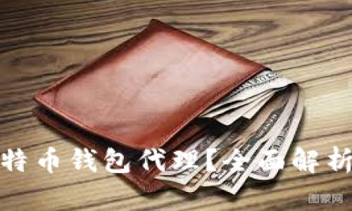 什么是比特币钱包代理?全面解析及其优势