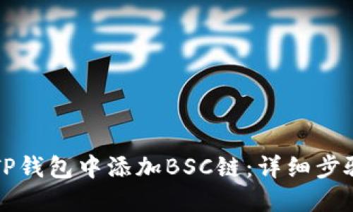 如何在TP钱包中添加BSC链:详细步骤与指南