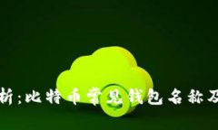 全面解析：比特币常见钱包名称及其特