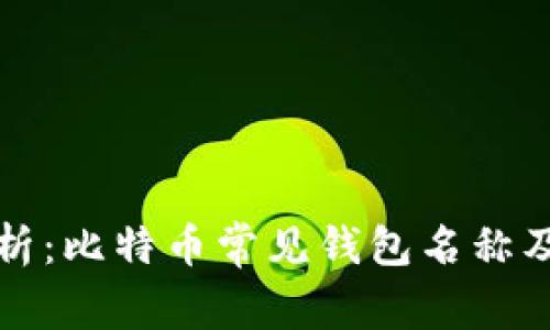 全面解析:比特币常见钱包名称及其特点