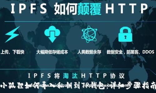 小狐狸如何导入私钥到TP钱包:详细步骤指南