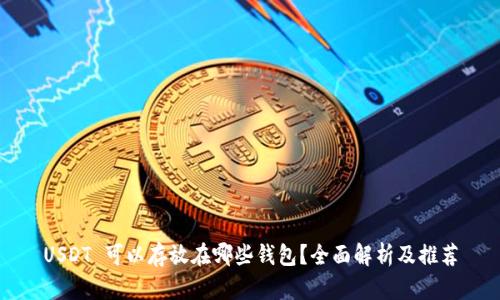 USDT 可以存放在哪些钱包?全面解析及推荐