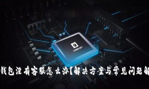 TP钱包没有客服怎么办?解决方案与常见问题解析