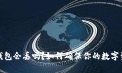 比特币钱包会丢吗？如何确保你的数字