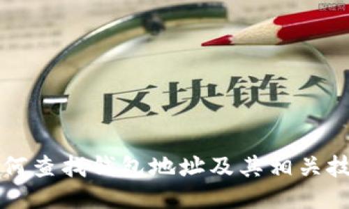 TP钱包如何查找钱包地址及其相关技巧与指南
