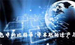 探索TP钱包中的比特币：中本聪的遗产