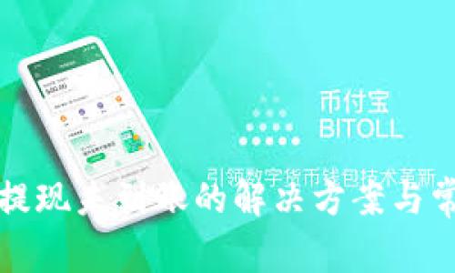 TP钱包提现未到账的解决方案与常见问题