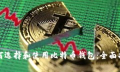 如何选择和使用比特币钱包：全面指南