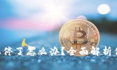 : TokenPocket矿机停了怎么办？全面解析