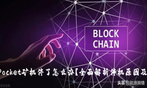 : TokenPocket矿机停了怎么办?全面解析停机原因及解决方案