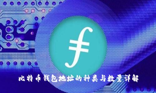 比特币钱包地址的种类与数量详解