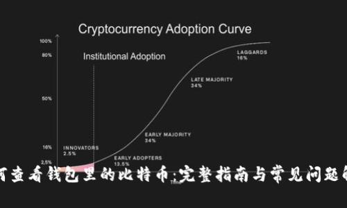 如何查看钱包里的比特币:完整指南与常见问题解答
