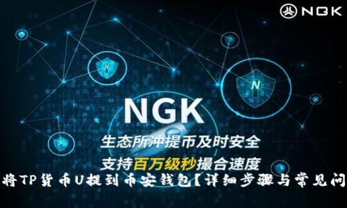 : 如何将TP货币U提到币安钱包?详细步骤与常见问题解答