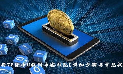 : 如何将TP货币U提到币安钱包?详细步骤与常见问题解答