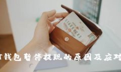 USDT钱包暂停提现的原因及应对策略