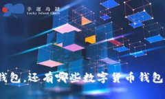 : 除了TP钱包，还有哪些数字货币钱包