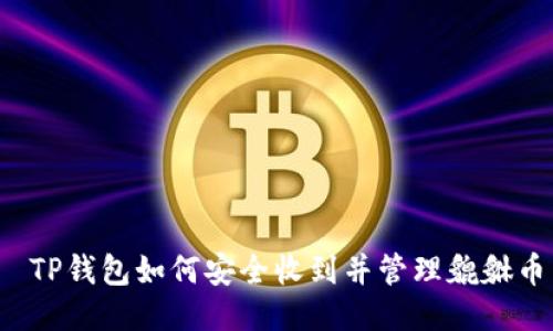 TP钱包如何安全收到并管理貔貅币