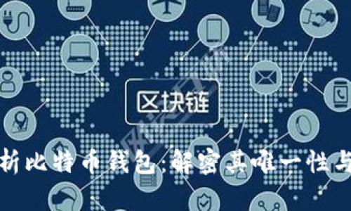 全面解析比特币钱包:解密其唯一性与安全性