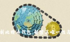 全面解析比特币钱包：解密其唯一性与