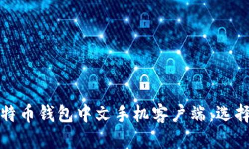 全面解析比特币钱包中文手机客户端：选择与使用指南