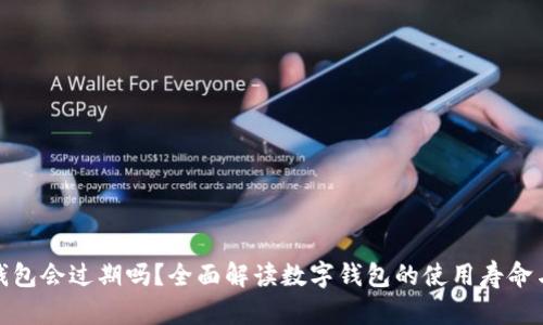 : TP钱包会过期吗?全面解读数字钱包的使用寿命与管理
