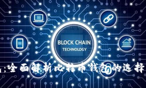 大佬钱包:全面解析比特币钱包的选择与安全性