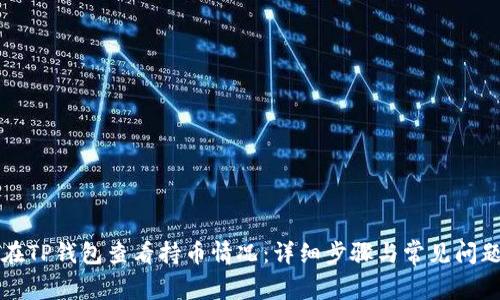 如何在TP钱包查看持币情况:详细步骤与常见问题解析