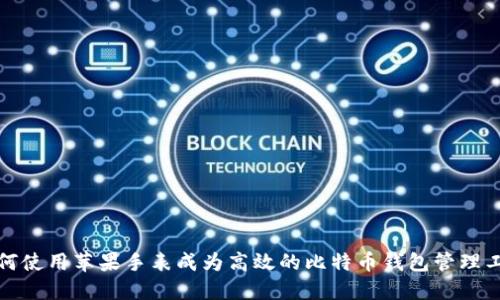 如何使用苹果手表成为高效的比特币钱包管理工具