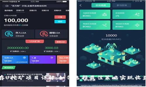 TP钱包存U挖矿项目详解:如何选择最佳策略实现收益最大化