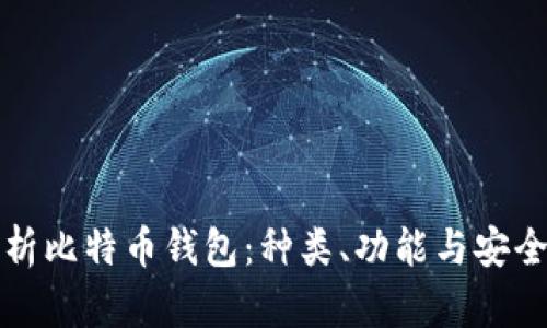 全面解析比特币钱包:种类、功能与安全性指南