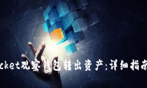 i如何从TokenPocket观察钱包转出资产:详细指南与常见问题解答
