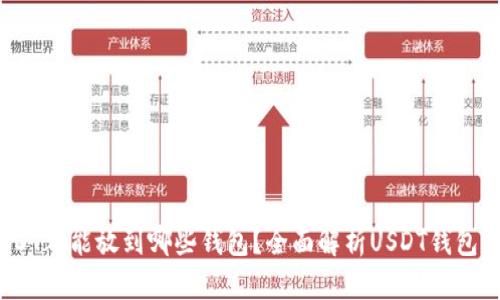 USDT都能放到哪些钱包?全面解析USDT钱包选择