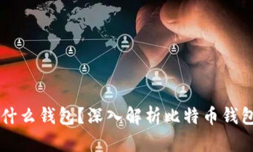 买比特币后放什么钱包?深入解析比特币钱包的选择与使用