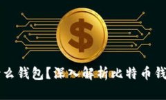 买比特币后放什么钱包？深入解析比特