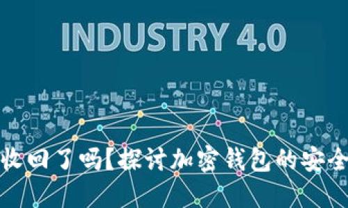 TP钱包被收回了吗？探讨加密钱包的安全性与选择