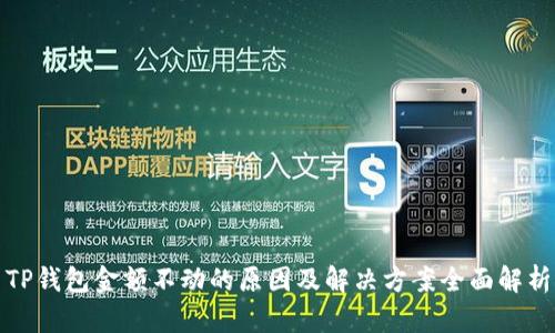 TP钱包金额不动的原因及解决方案全面解析