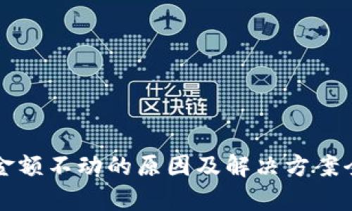 TP钱包金额不动的原因及解决方案全面解析