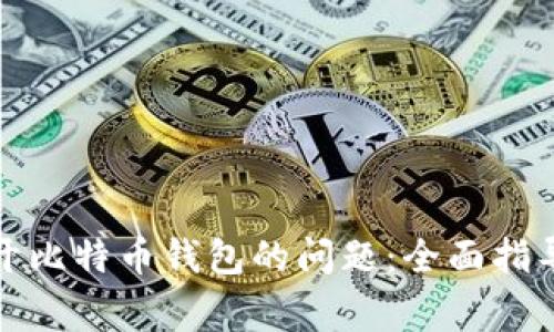 如何解决无法打开比特币钱包的问题:全面指导与常见疑难解答
