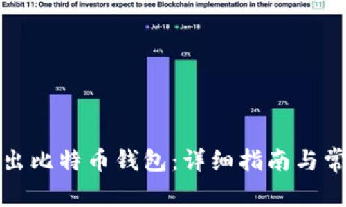 如何安全退出比特币钱包:详细指南与常见问题解答
