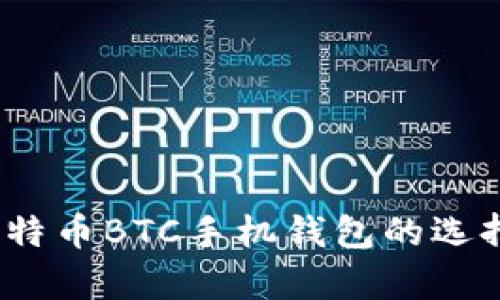 全面解析:比特币BTC手机钱包的选择与使用指南