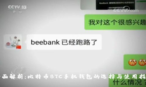 全面解析:比特币BTC手机钱包的选择与使用指南
